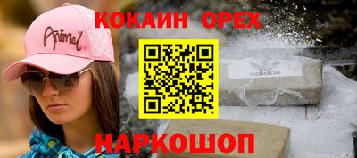 прущие грибы Будённовск