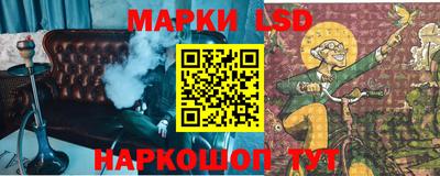 прущие грибы Будённовск