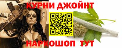 прущие грибы Будённовск
