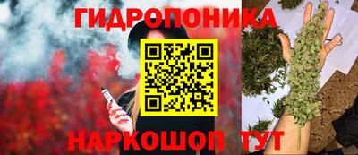 прущие грибы Будённовск